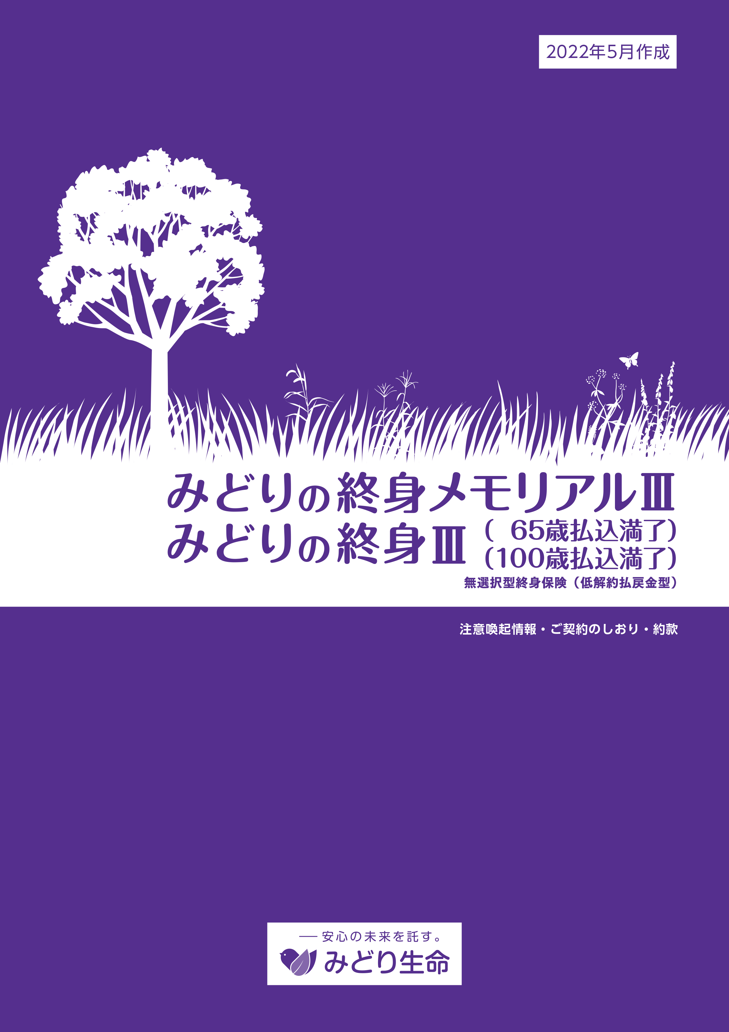 注意喚起情報・ご契約のしおり・約款一覧 | みどり生命保険株式会社